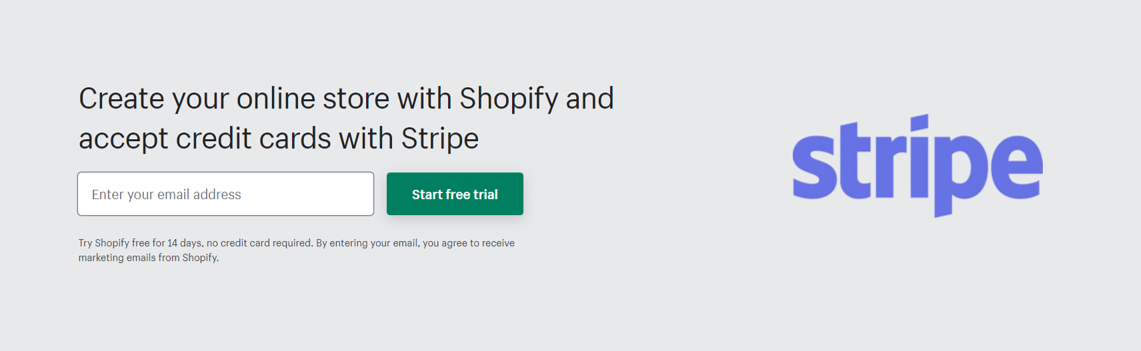 Stripe payment gateway with Shopify - Digital 38