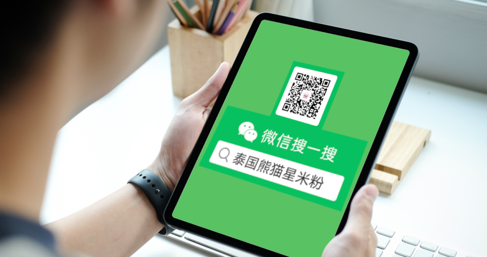 WeChat Verification: Panda Star’s Makes 1st Step in Expanding Online Presence | Digital 38